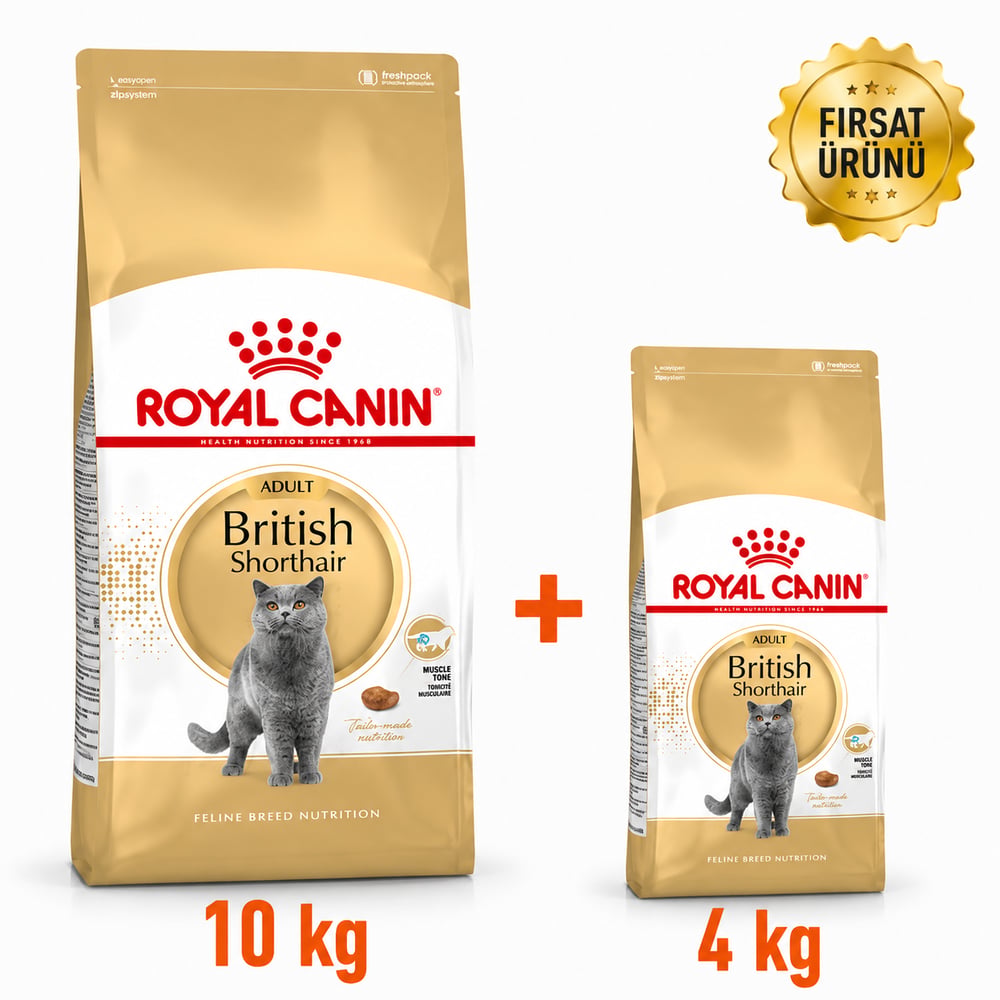 Royal Canin British Shorthair Yetişkin Kedi Maması 10 Kg + 4 Kg  Fırsat Ürünü 