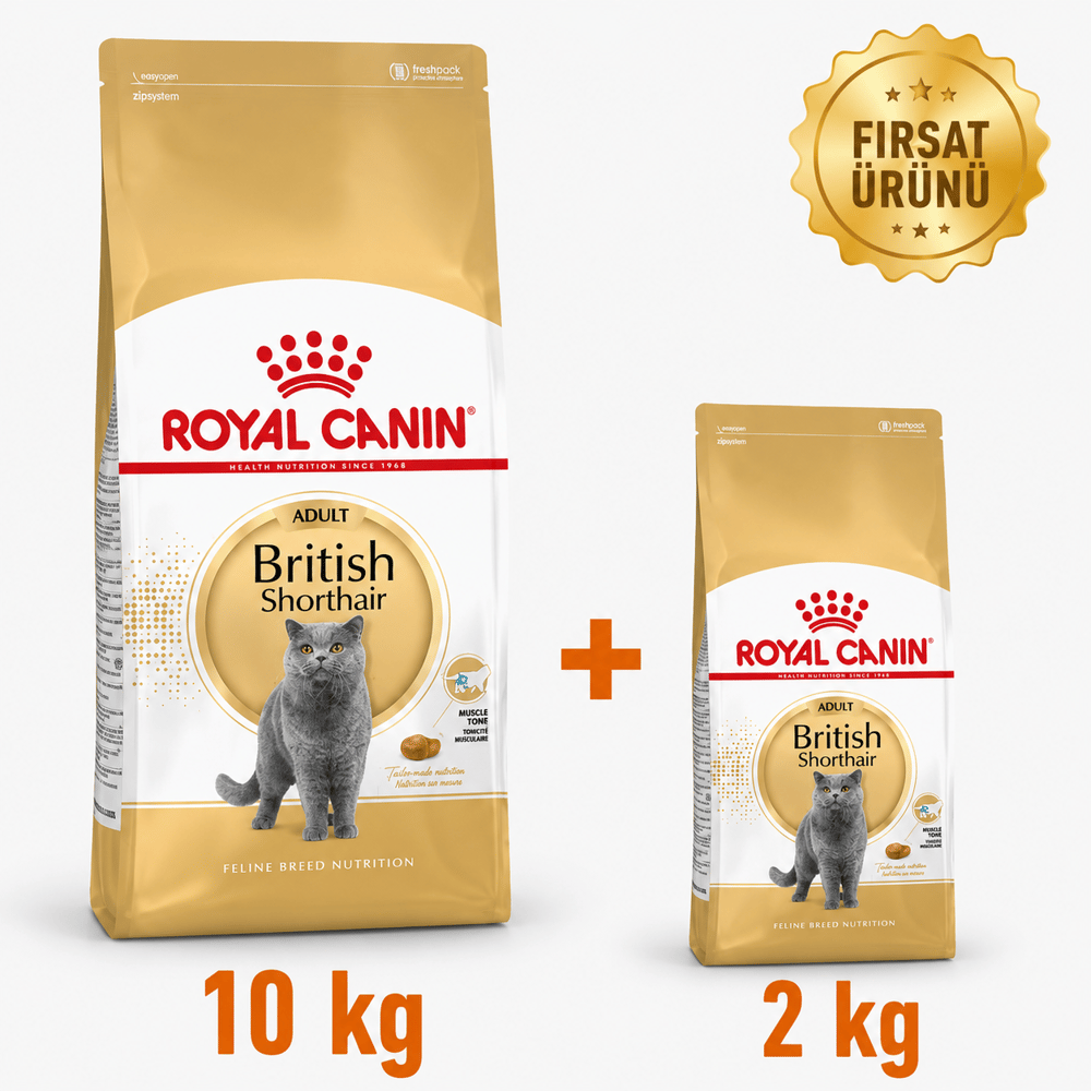 Royal Canin British Shorthair Yetişkin Kedi Maması 10 Kg + 2 Kg Fırsat Ürünü
