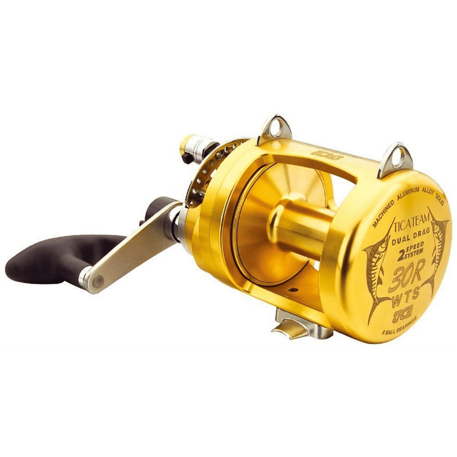 30R/WTS 2 Speed Golden Series Reel