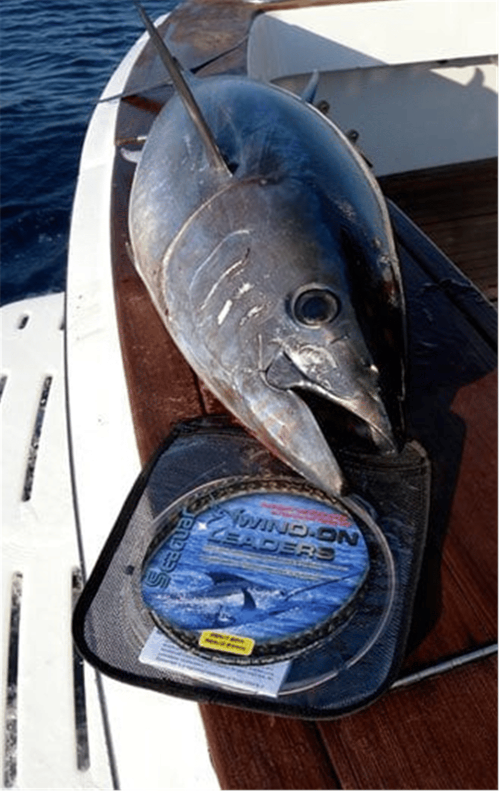Wind-On Leader 200lb 1.38mm 7.62m