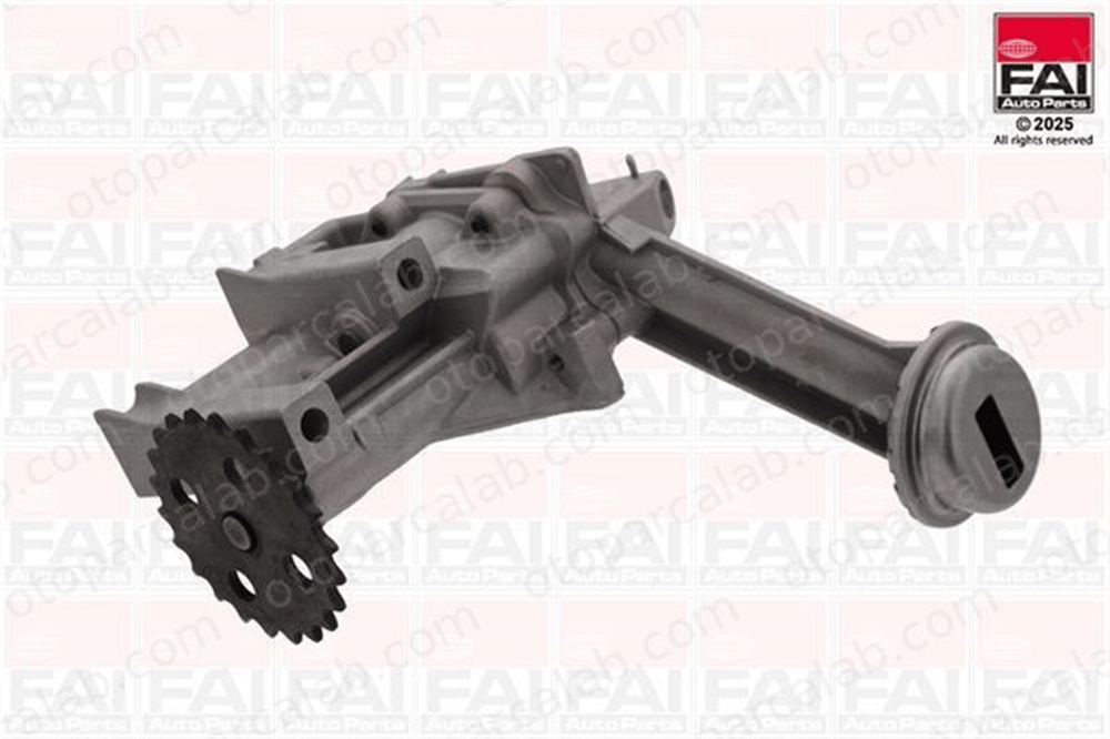 AXAM 02-04-14-8004 Yağ Pompası RENAULT KANGOO Express DACIA DUSTER 8200307174 8200591475