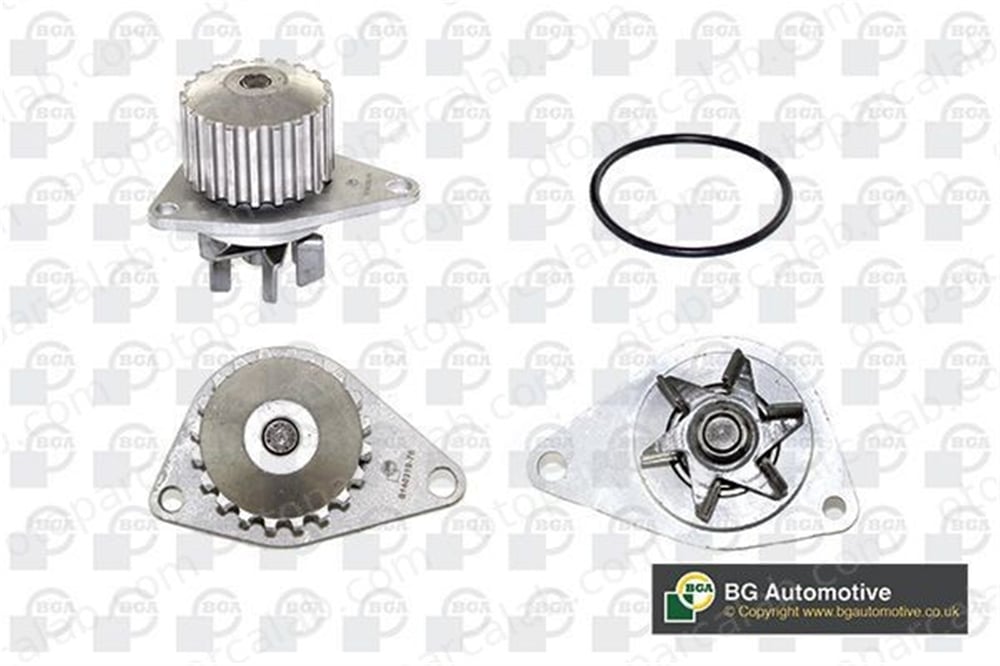 BGA CP2424 Devirdaim Su Pompası CITROËN AX PEUGEOT 205 II 1623095780 PFS100020EVA