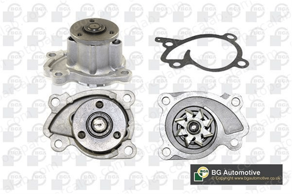 BGA CP3862 Devirdaim Su Pompası NISSAN MICRA IV QASHQAI / QASHQAI +2 I 210100906R 210103AA0C