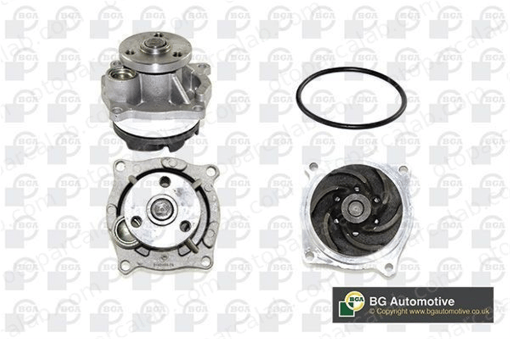 BGA CP8230 Devirdaim Su Pompası FORD ESCORT VI ESCORT VI Cabrio 988X8591F1D 1053879