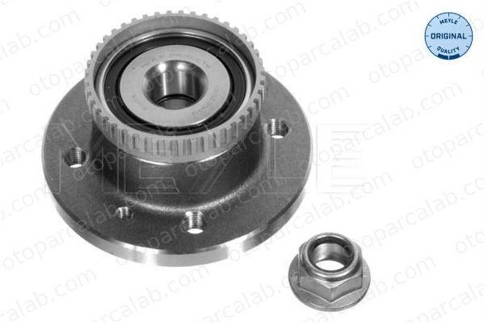 BITAPART BRE175004 Porya Arka Sağ veya Sol RENAULT MEGANE Scenic MEGANE I Grandtour 7701205170