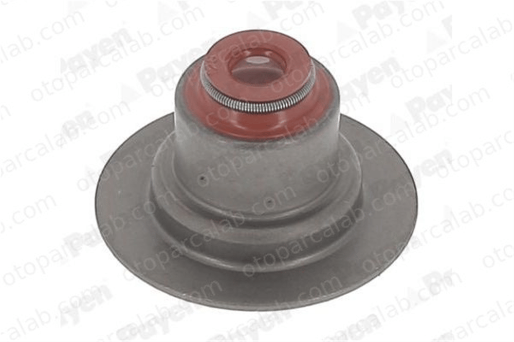 BITAPART BRE231006 Supap Lastiği RENAULT LAGUNA II Grandtour MEGANE II 7700103938 4409126