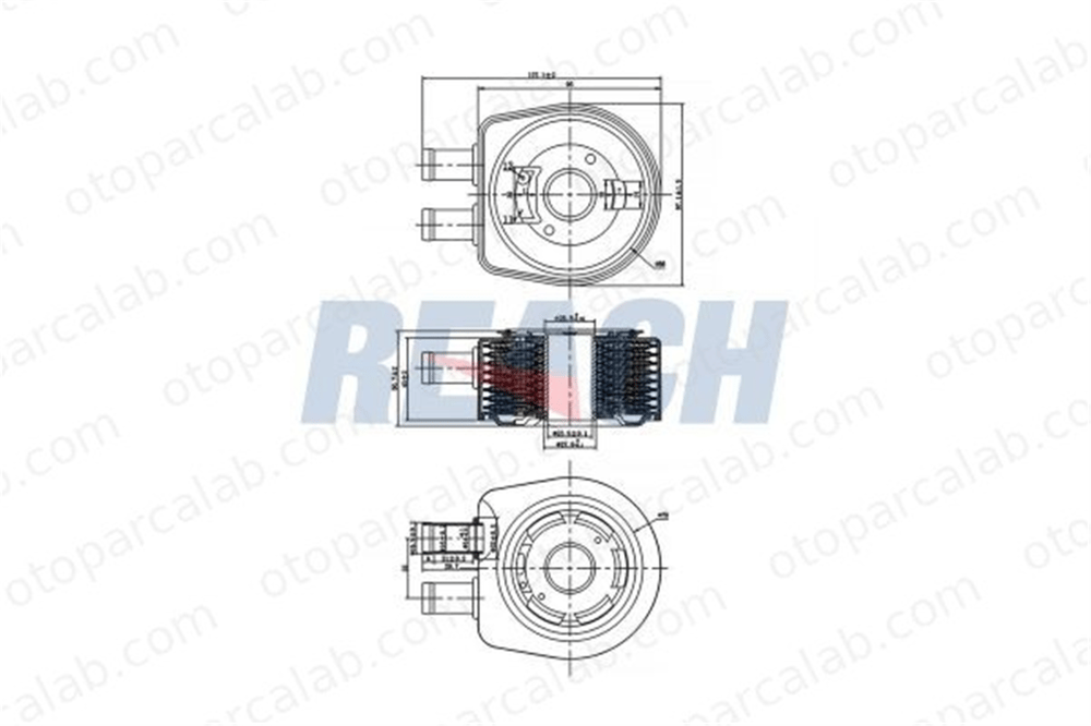 BITAPART BRE240003 Motor Yağ Soğutucu RENAULT LAGUNA II Grandtour MEGANE II 7700852778 1660067JG0