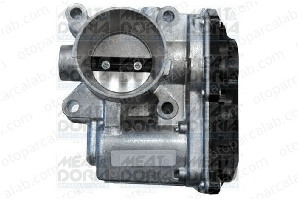 BITAPART BRE258009 Gaz Kelebeği RENAULT CLIO III MODUS / GRAND MODUS 8200285017 161202859R