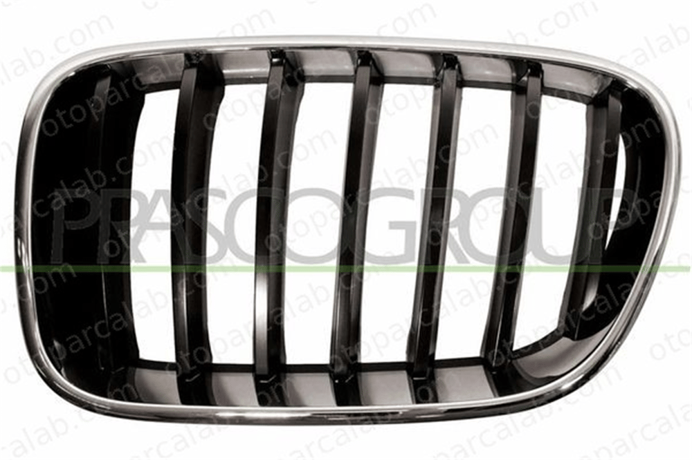BMW ORJINAL 51117210725 Panjur Ön Sol BMW X3 51117210725 51117510725