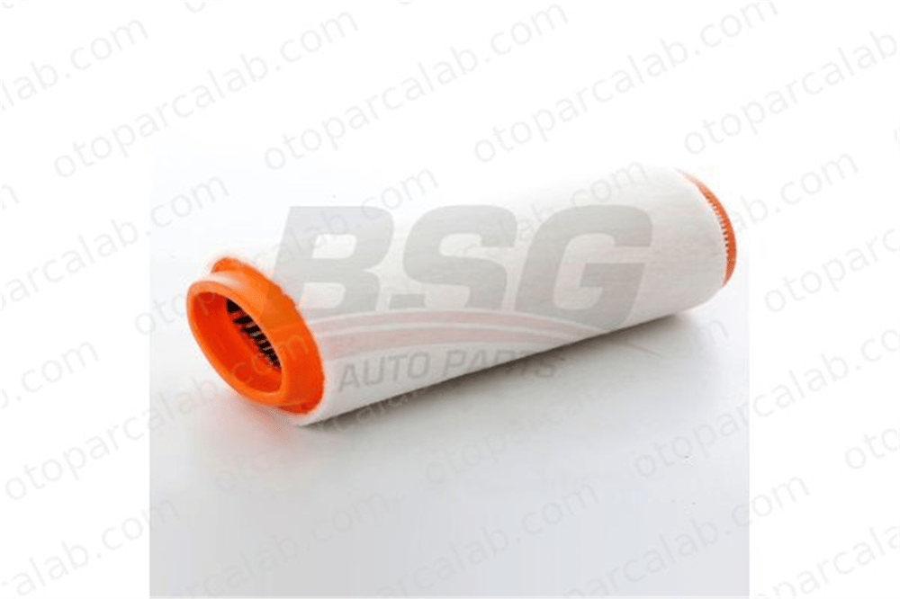 BSG 15-135-005 Hava Filtresi BMW 3 3 Touring 13712246997 GFE2421