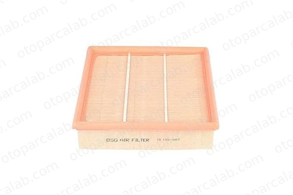 BSG 15-135-007 Hava Filtresi BMW 7 ALPINA B10 13721736675 13711736675