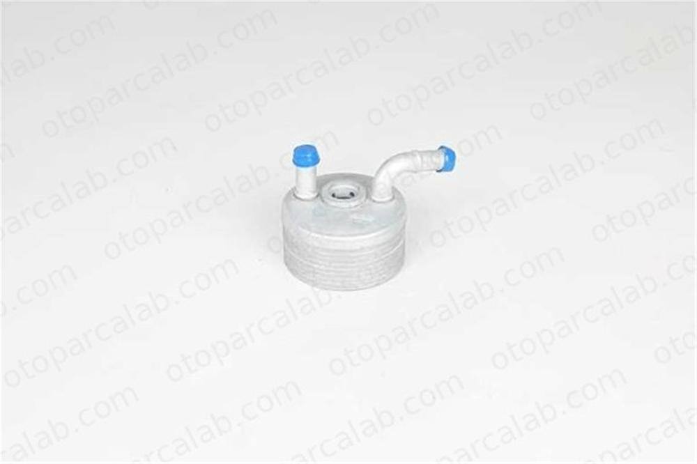 BSG 15-507-005 Şanzıman Yağ Soğutucu MINI MINI COUNTRYMAN MINI PACEMAN 24119812996 9812996