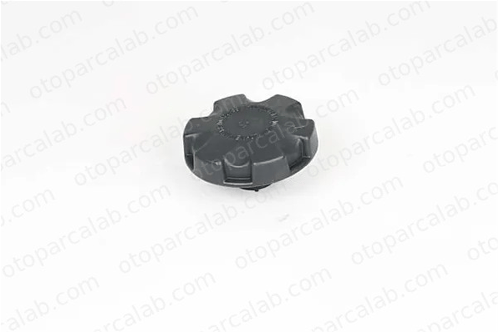 BSG 15-551-006 Radyatör Kapağı BMW 1 3 17117639020 17117521071