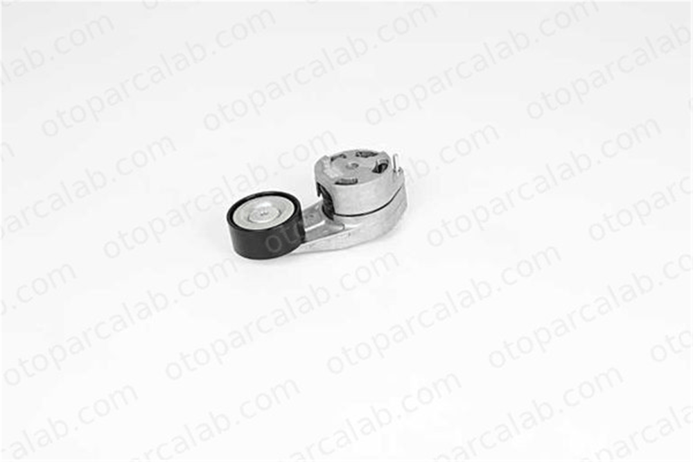 BSG 15-615-015 Vantilatör Kayış Gergi Rulmanı BMW 1 3 11287603347