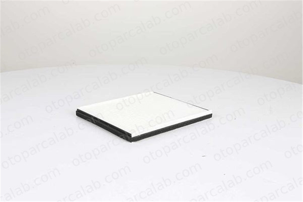 BSG 16-145-002 Polen Filtresi CHEVROLET AVEO / KALOS Sedan AVEO / KALOS Hatchback 96962173 96449577
