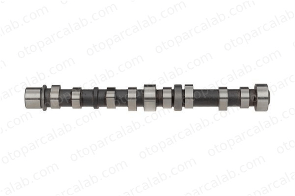 BSG 25-108-019 Eksantrik Mili FIAT PANDA PUNTO 55206898 647234