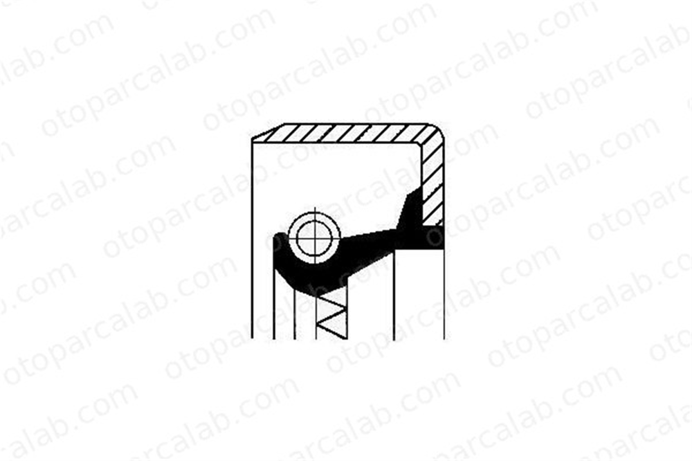 BSG 25-116-007 Eksantrik Keçesi FIAT PANDA Kasa/eğik arka PUNTO 55196125 55196124