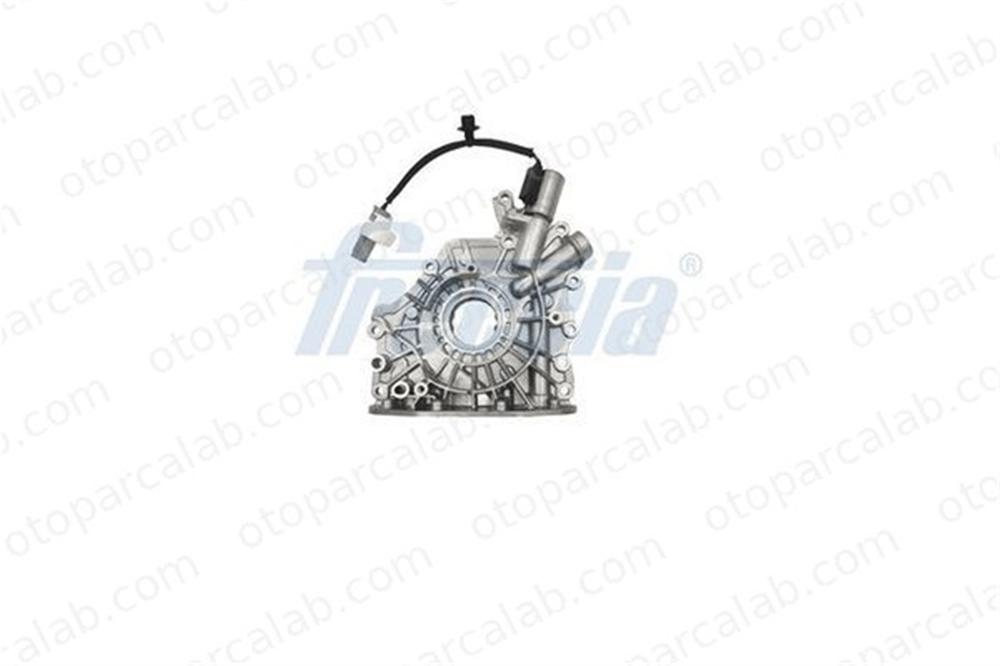 BSG 30-101-013 Yağ Pompası CITROËN BERLINGO Kasa/büyük limuzin FORD ECOSPORT GM5Q6600AA 1614411380