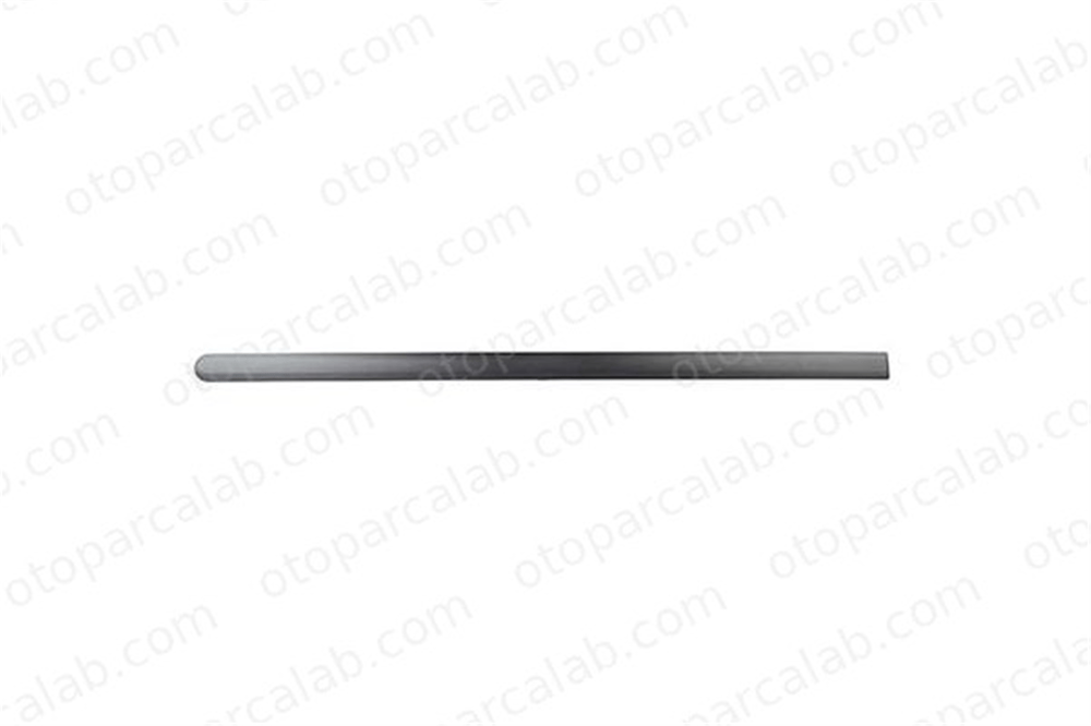 BSG 30-924-031 Kapı Bandı Ön Sağ FORD FUSION 2N11N20938 AEYYH5