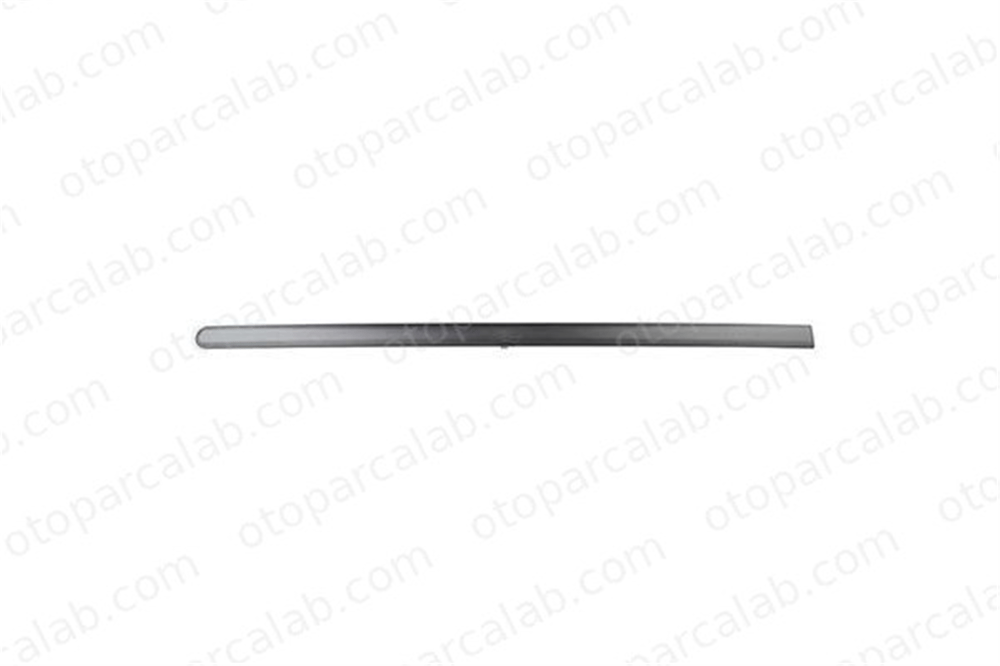 BSG 30-924-032 Kapı Bandı Ön Sol FORD FUSION 2N11N20939 AEYYH5