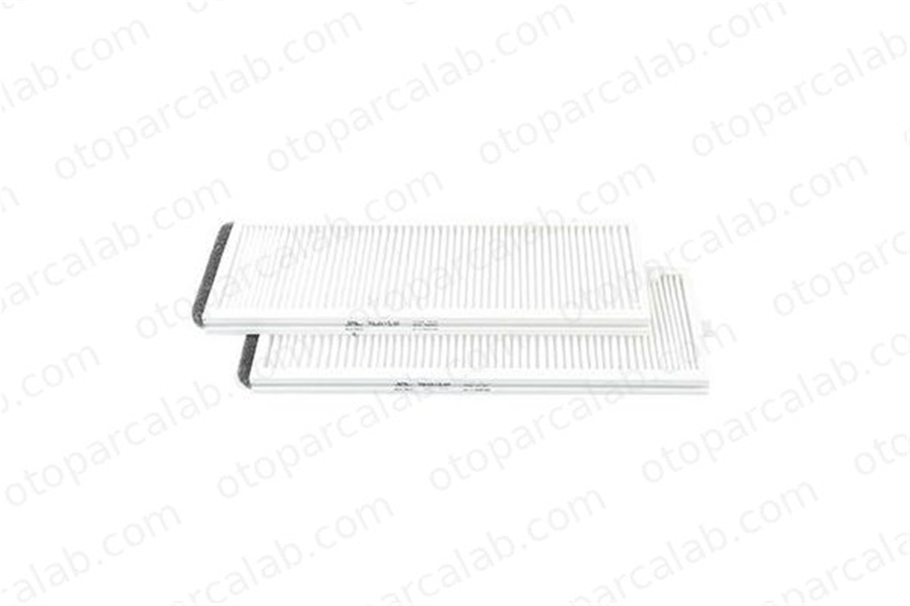 BSG 40-145-001 Polen Filtresi HYUNDAI GETZ ACCENT II 976171C000 87901C000A