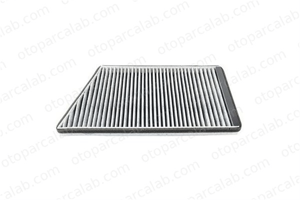 BSG 60-145-008 Polen Filtresi MERCEDES-BENZ C-SERISI C-SERISI T-Model A2038300118 2038300118