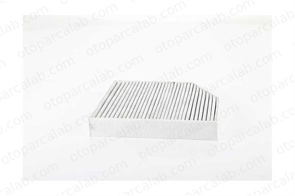 BSG 60-145-020 Polen Filtresi MERCEDES-BENZ C-SERISI C-SERISI T-Model A2058350147 2058350147