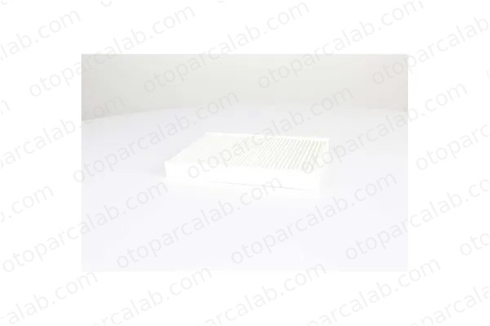 BSG 60-145-024 Polen Filtresi MERCEDES-BENZ C-SERISI C-SERISI T-Model A1668300218 1668300018