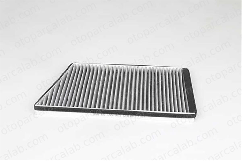 BSG 60-145-025 Polen Filtresi MERCEDES-BENZ C-SERISI C-SERISI T-Model A2038300918 2038300918