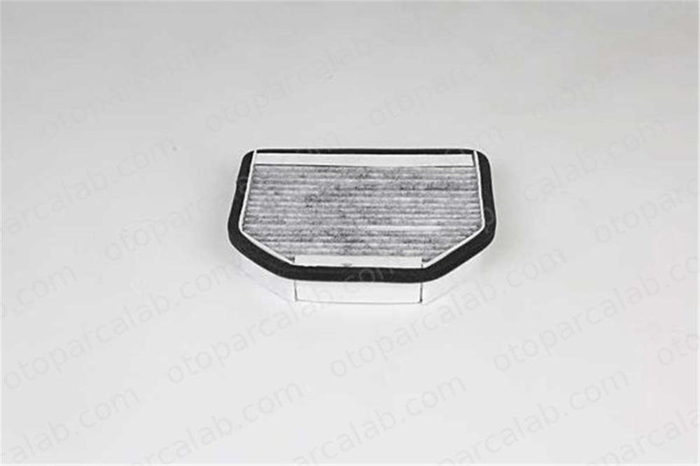 BSG 60-145-034 Polen Filtresi MERCEDES-BENZ SL G-SERISI A2308300418 2308300418