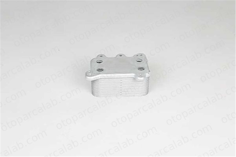 BSG 60-506-008 Motor Yağ Soğutucu MERCEDES-BENZ S-SERISI E-SERISI A6281880201