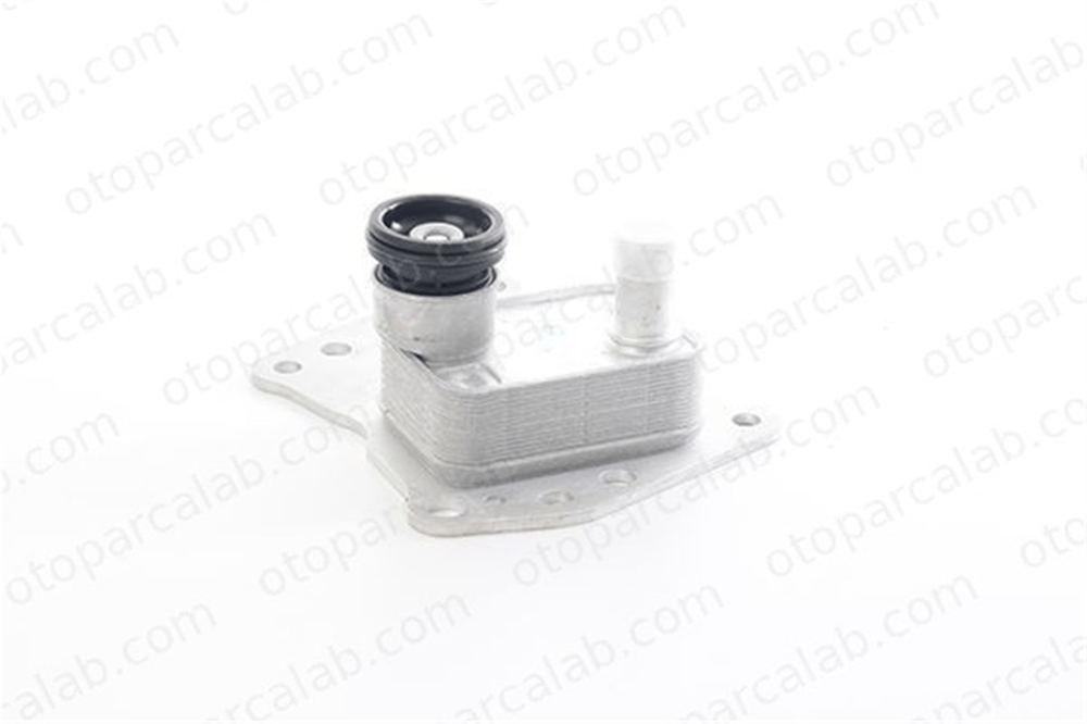 BSG 60-506-013 Motor Yağ Soğutucu MERCEDES-BENZ C-SERISI C-SERISI Coupe A2711801410 49870225