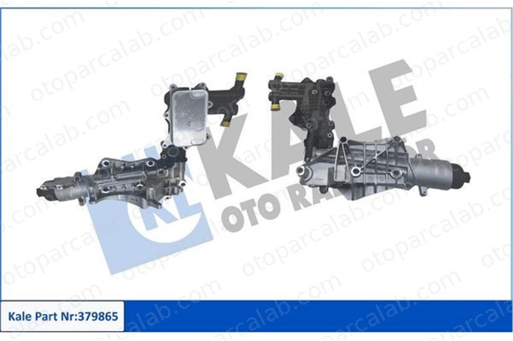 BSG 60-506-021 Motor Yağ Soğutucu RENAULT TRAFIC III Minibüs/Otobüs TRAFIC III Panelvan/Van A6261800065 6261800011