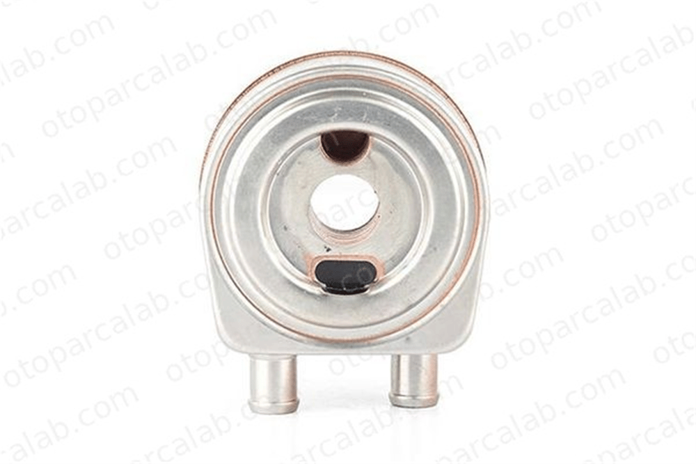 BSG 65-506-004 Motor Yağ Soğutucu RENAULT LAGUNA II Grandtour MEGANE II 4402628 1660067JG0