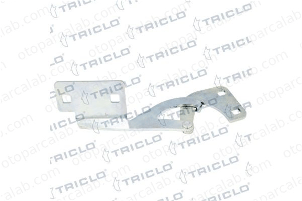 BSG 70-975-081 Motor Kaput Menteşesi Sol CITROËN BERLINGO / BERLINGO FIRST Kasa/büyük limuzin BERLINGO / BERLINGO FIRST MPV 791280