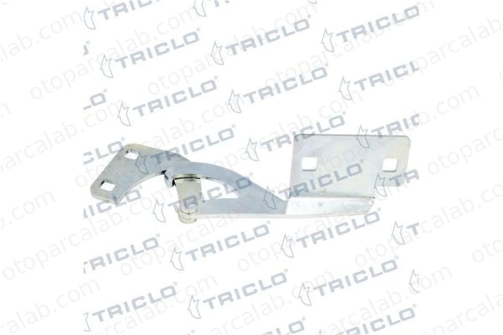 BSG 70-975-082 Motor Kaput Menteşesi Sağ CITROËN BERLINGO / BERLINGO FIRST Kasa/büyük limuzin BERLINGO / BERLINGO FIRST MPV 791281