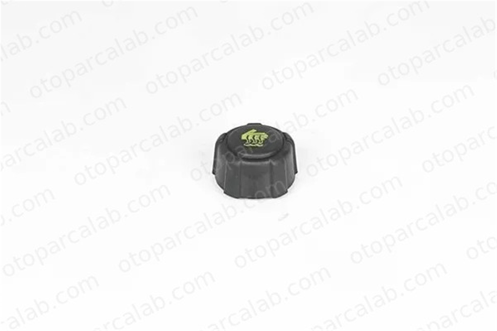 BSG 75-551-001 Radyatör Yedek Su Depo Kapağı RENAULT KANGOO Express LAGUNA II Grandtour 8200048024 4155010015