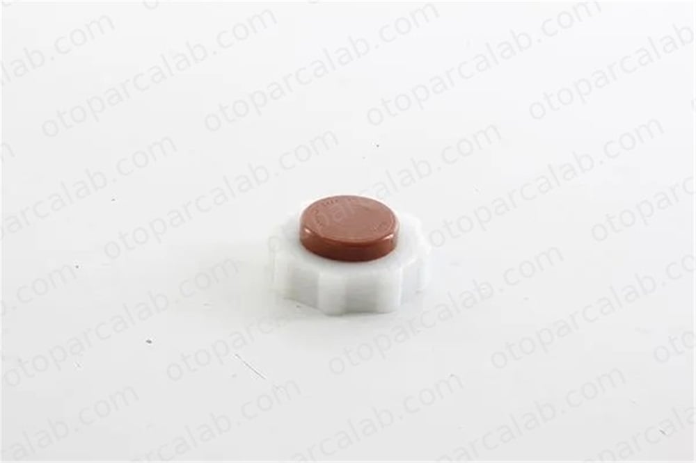 BSG 75-551-002 Radyatör Yedek Su Depo Kapağı RENAULT 21 Sedan 21 Station wagon 7700805031 1793284CT0