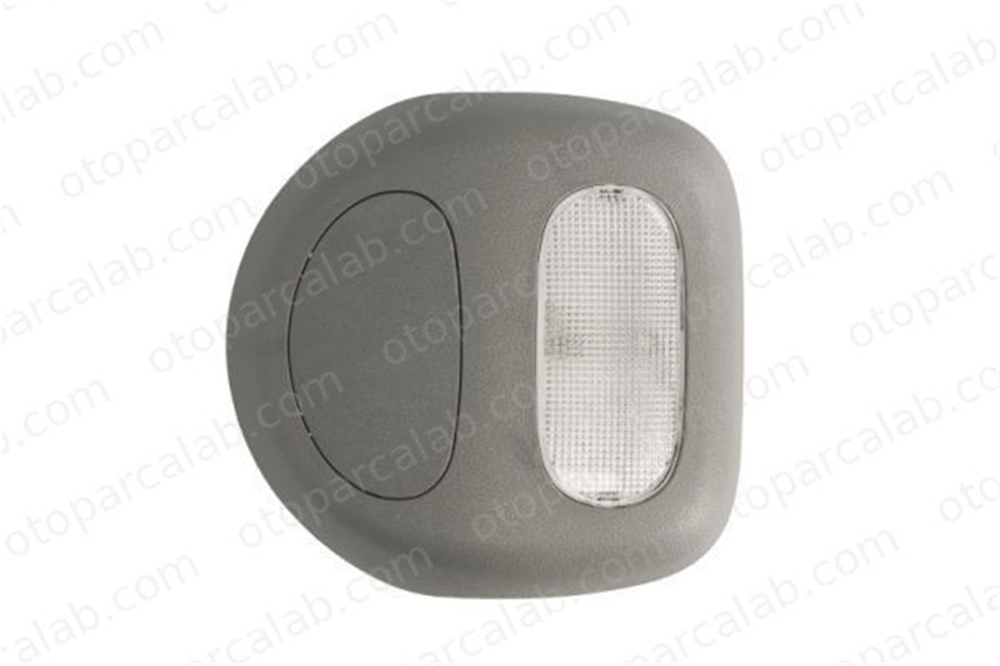 BSG 75-819-002 Tavan Lambası RENAULT KANGOO Express KANGOO 264309179R 8200086137