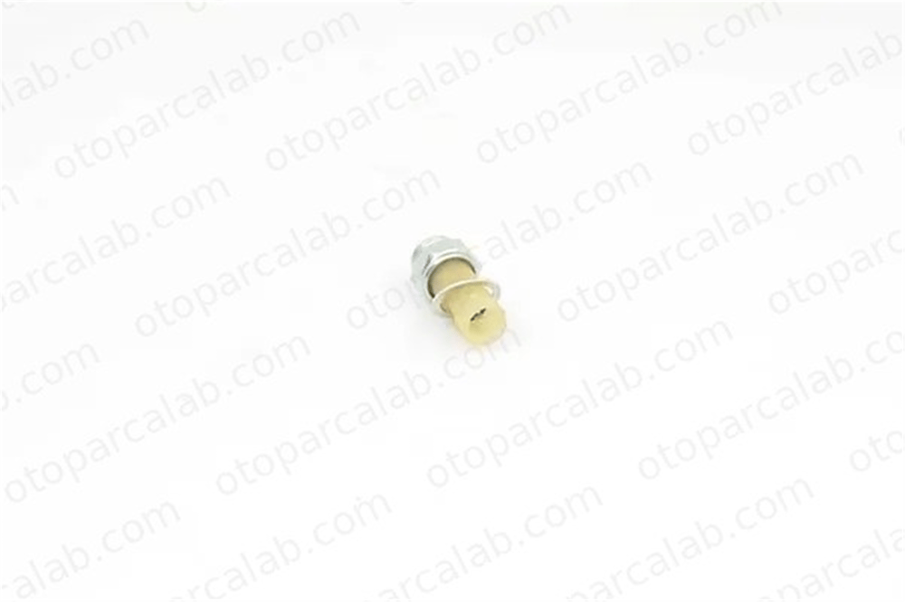 BSG 75-840-002 Yağ Müşürü VOLVO 440 RENAULT 21 Station wagon 7700771828 T0771828