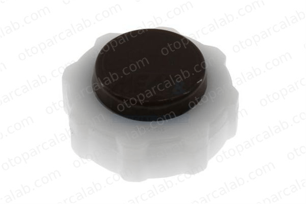BSG 75-922-165 Radyatör Yedek Su Depo Kapağı RENAULT LAGUNA I Grandtour LAGUNA I 7700805031 5010213367