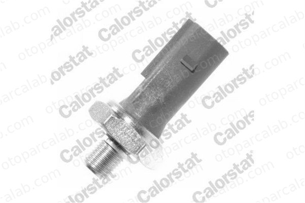 CALORSTAT OS3606 Yağ Müşürü AUDI A8 D5 Q8 79919081D 079919081D