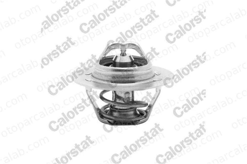 CALORSTAT TH6045.89 Termostat RENAULT 19 II Chamade 19 I 7700966896 9110719