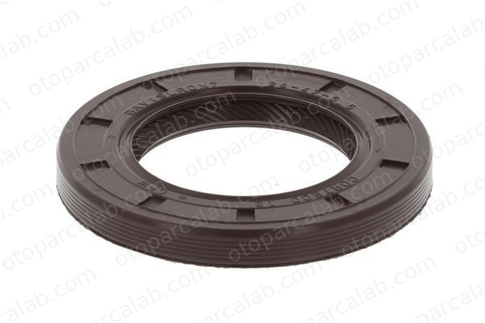 CDF 88398-V Eksantrik Keçesi RENAULT LAGUNA II Grandtour SCÉNIC I MPV 93160098 4409866
