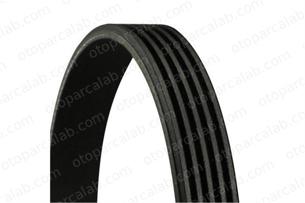 CONTINENTAL 5PK1000 Vantilatör Kayışı TOYOTA CAMRY CELICA Coupe 9091602219 9091602295