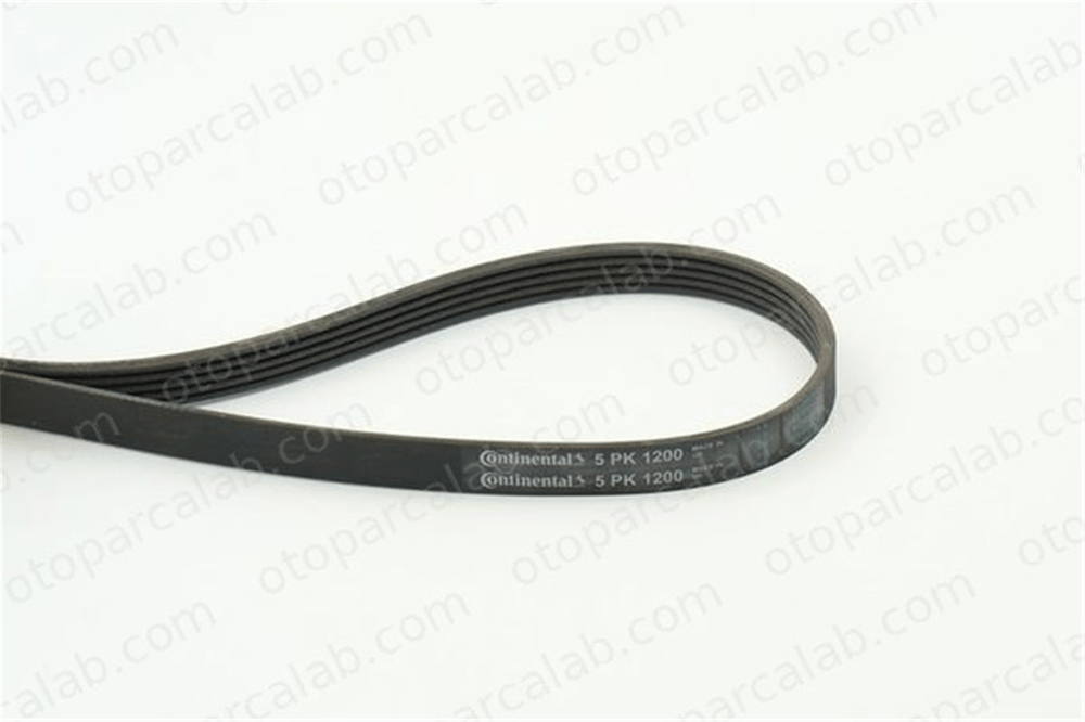 CONTINENTAL 5PK1200 Vantilatör Kayışı RENAULT MODUS / GRAND MODUS CLIO II 7700300347 4741824