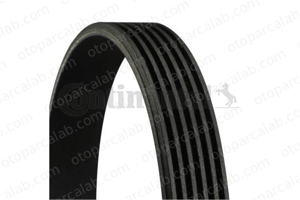 CONTINENTAL 6PK1070 Vantilatör Kayışı VW CADDY III Kasa/büyük limuzin POLO III 6PK1070 3L903137