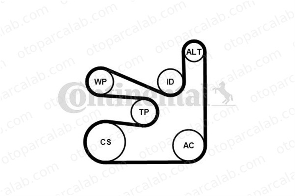 CONTINENTAL 6PK1660WP2 Vantilatör Kayış Seti BMW 5 1 11518514458 11287649968