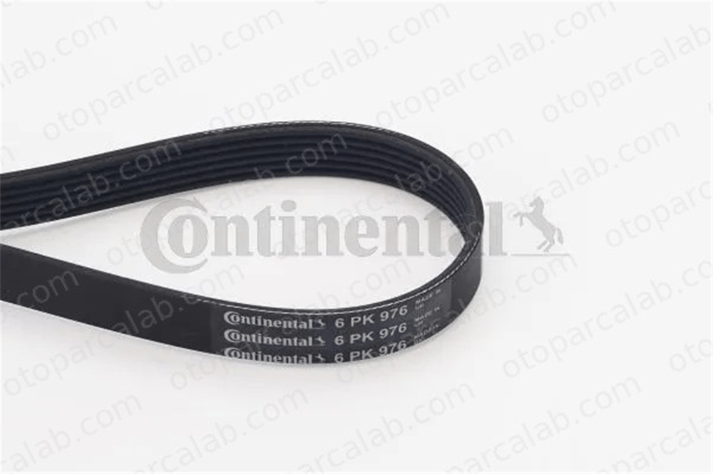 CONTINENTAL 6PK976 Vantilatör Kayışı VW PASSAT B3/B4 Variant CITROËN BERLINGO Kasa/büyük limuzin 6PK976 60571125