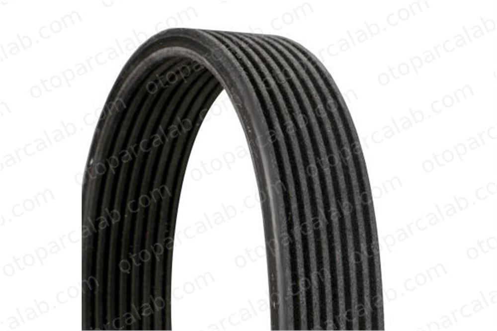 CONTINENTAL 8DPK1827 Vantilatör Kayışı BMW 7 X6 8DPK1827 11287570232